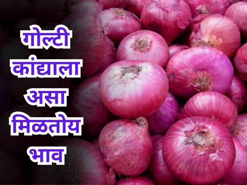 Onion post