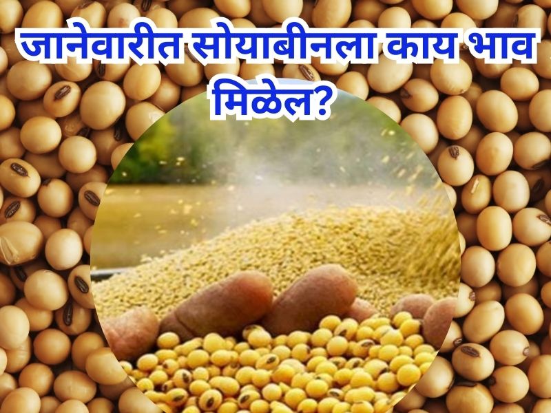 Soyabean bhav