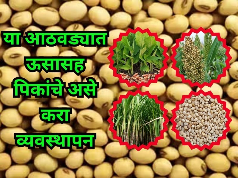 Manage crops