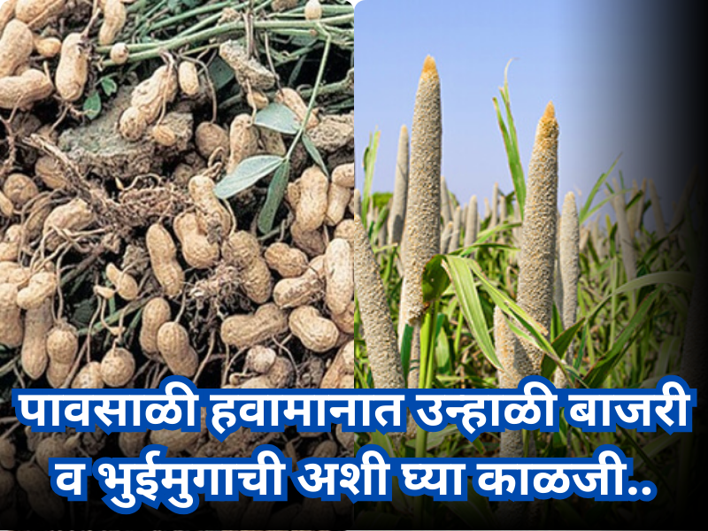 Crop care