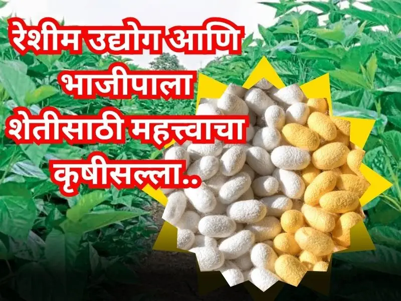 Agricultural advice