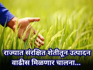 Agricultural production