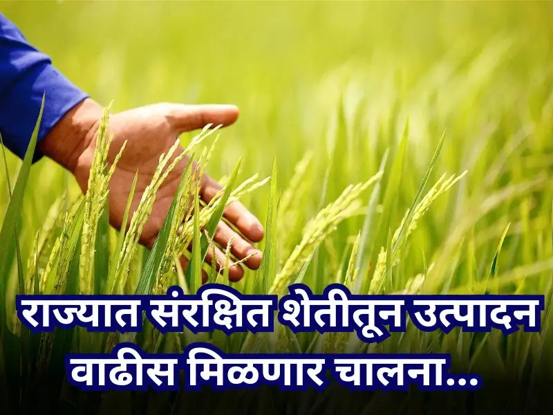 Agricultural production