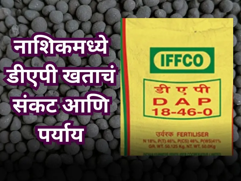DAP fertilizer