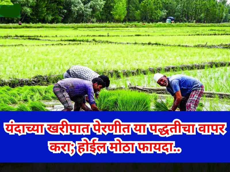 Kharif sowing