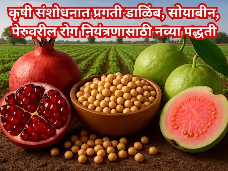 Agricultural Research