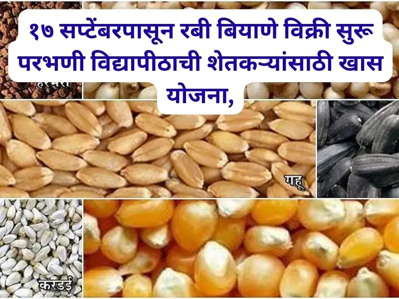Rabi seed sales