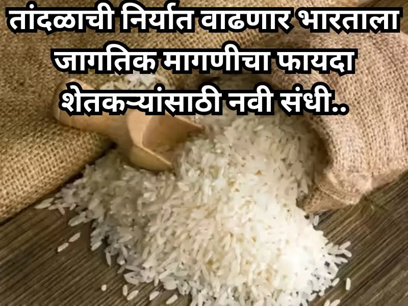 Rice export