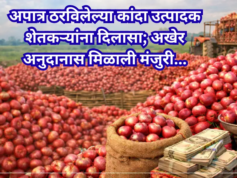 Onion producers