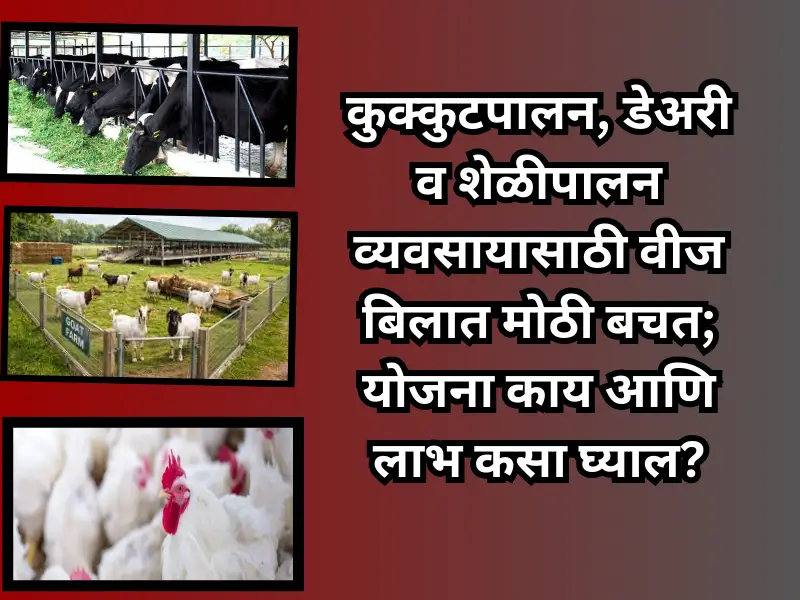 Big savings on electricity bills for businesses