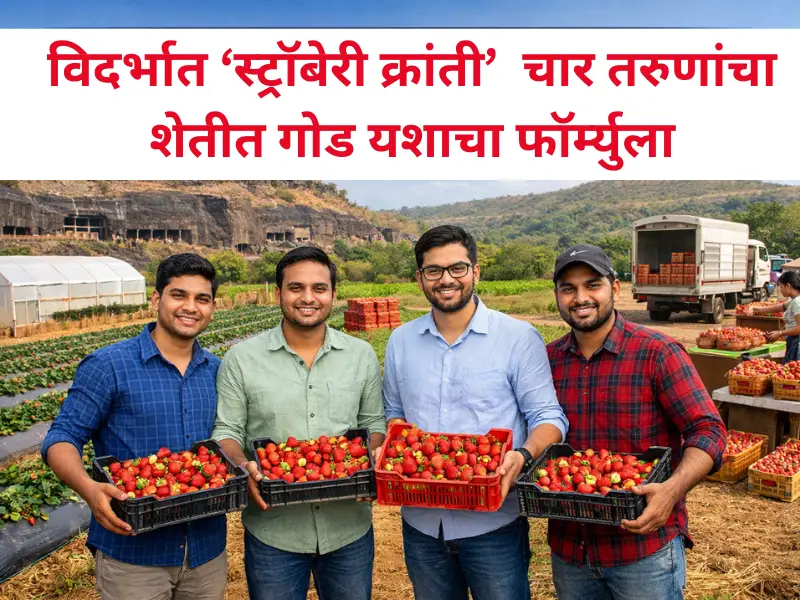 Strawberry Revolution