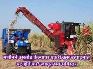 Sugarcane harvesting machine