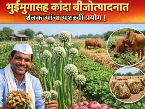 Farmers’ experiment