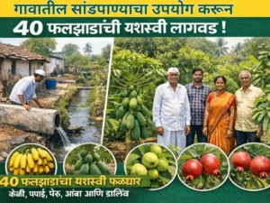 Planting fruit trees