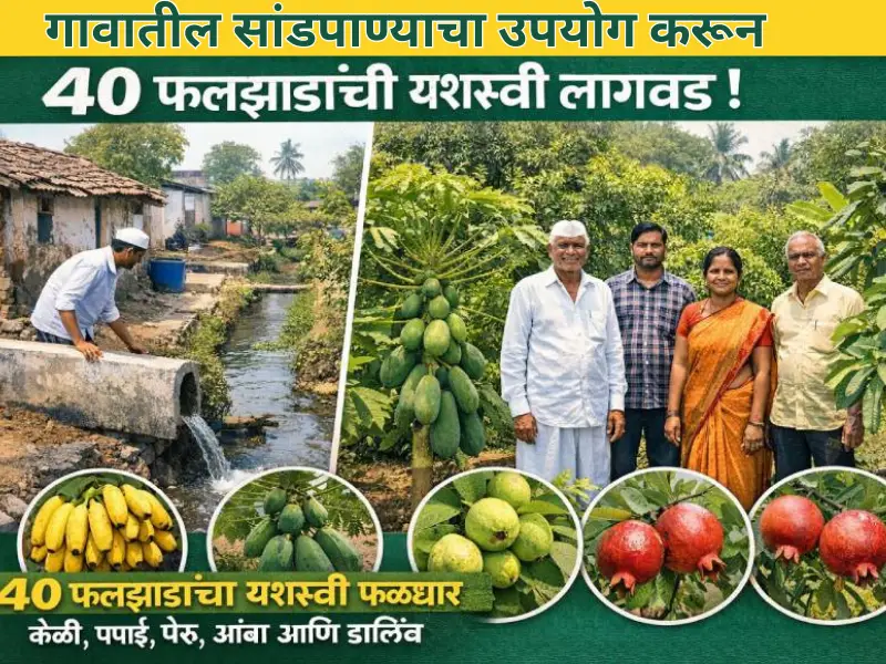 Planting fruit trees