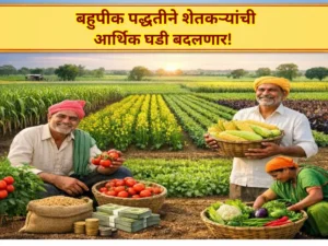 उन्हाळ्याची लाट