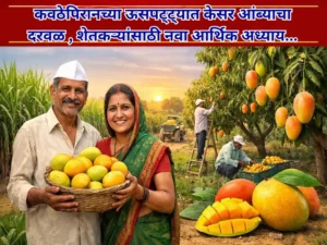 Economic chapter