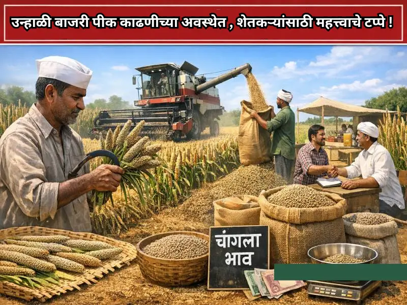 Milestones for farmers