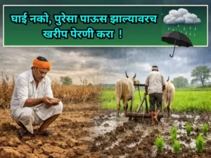 Sow kharif