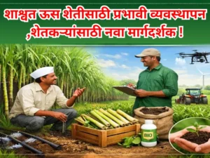 Sugarcane farming
