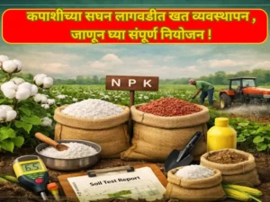 Fertilizer management