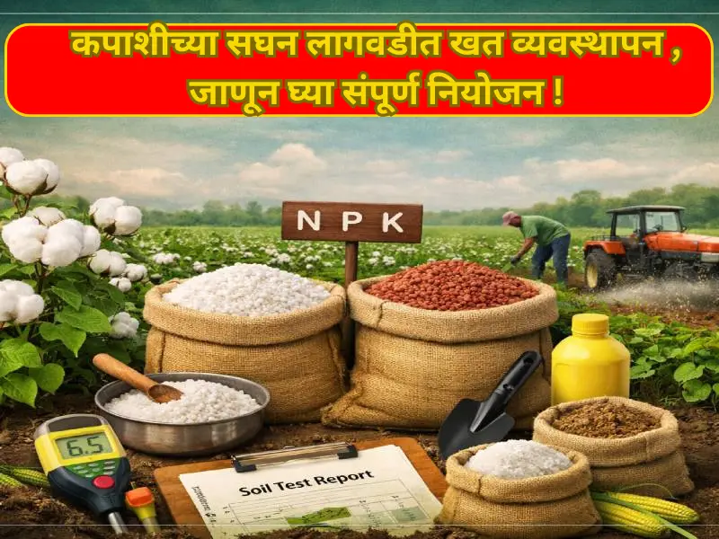Fertilizer management