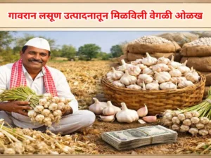 Indigenous garlic
