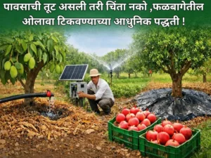 Moisture in orchards (1)