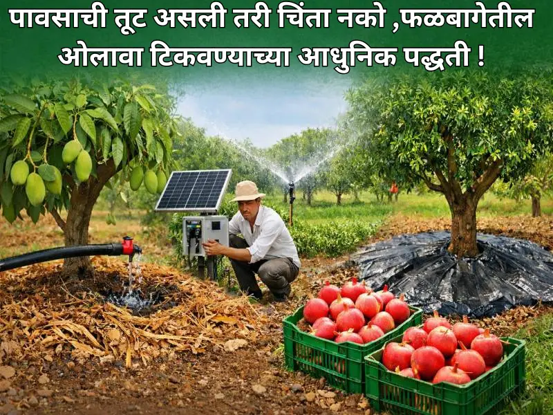 Moisture in orchards (1)