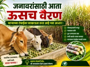 Animal feed