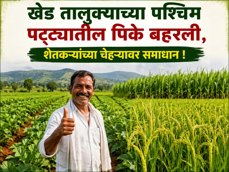 Crops flourishing