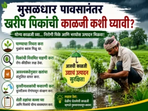 Kharif crops