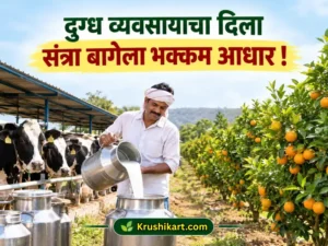 Krushikart.com