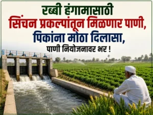 Rabi season