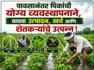 Rain crop management
