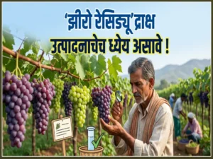 Grape production