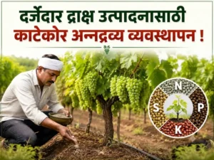 Precise nutrient management (1)