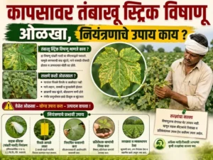 Tobacco Streak Virus