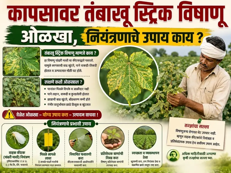 Tobacco Streak Virus