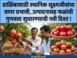 microorganisms-for-pomegranates