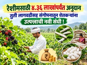mulberry cultivation