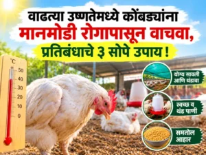 Newcastle disease (1)