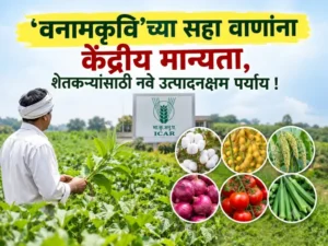 Various safflower varieties (1)